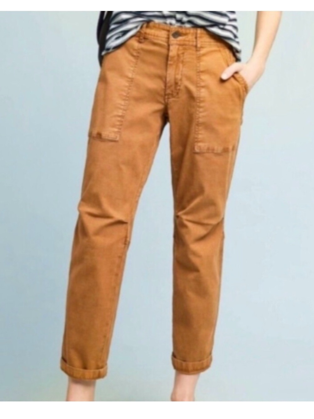 Anthropologie hei hei the wanderer  Utility Pants in Rust size 28